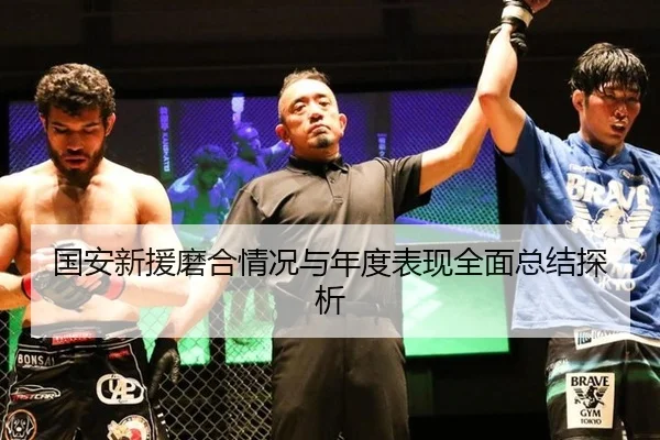 国安新援磨合情况与年度表现全面总结探析 | bet365ee